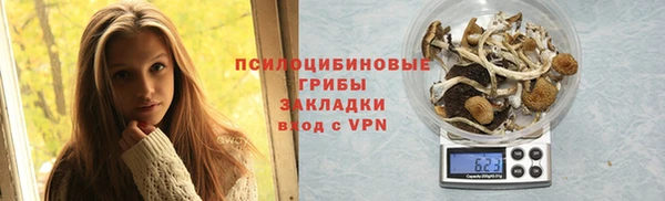 молекула духа Медногорск