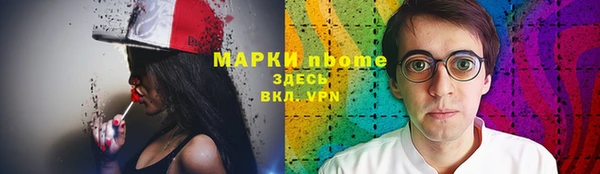 дживик Щигры