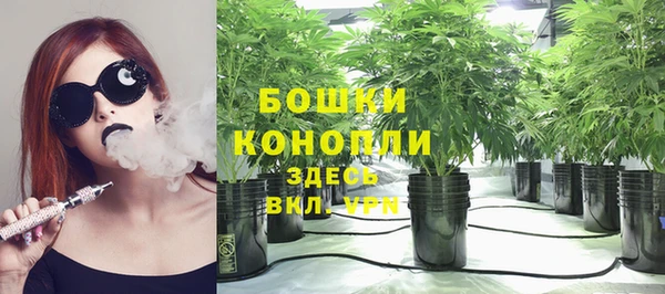 мяу мяу мука Медвежьегорск