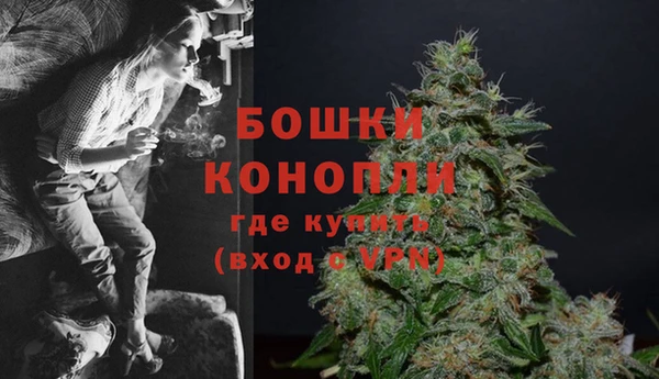 мяу мяу мука Медвежьегорск