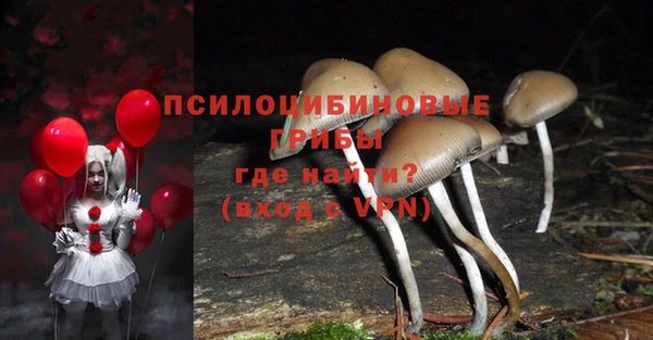 метадон Мегион