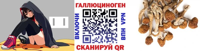 Псилоцибиновые грибы мицелий  кракен как зайти  Хвалынск  цены  